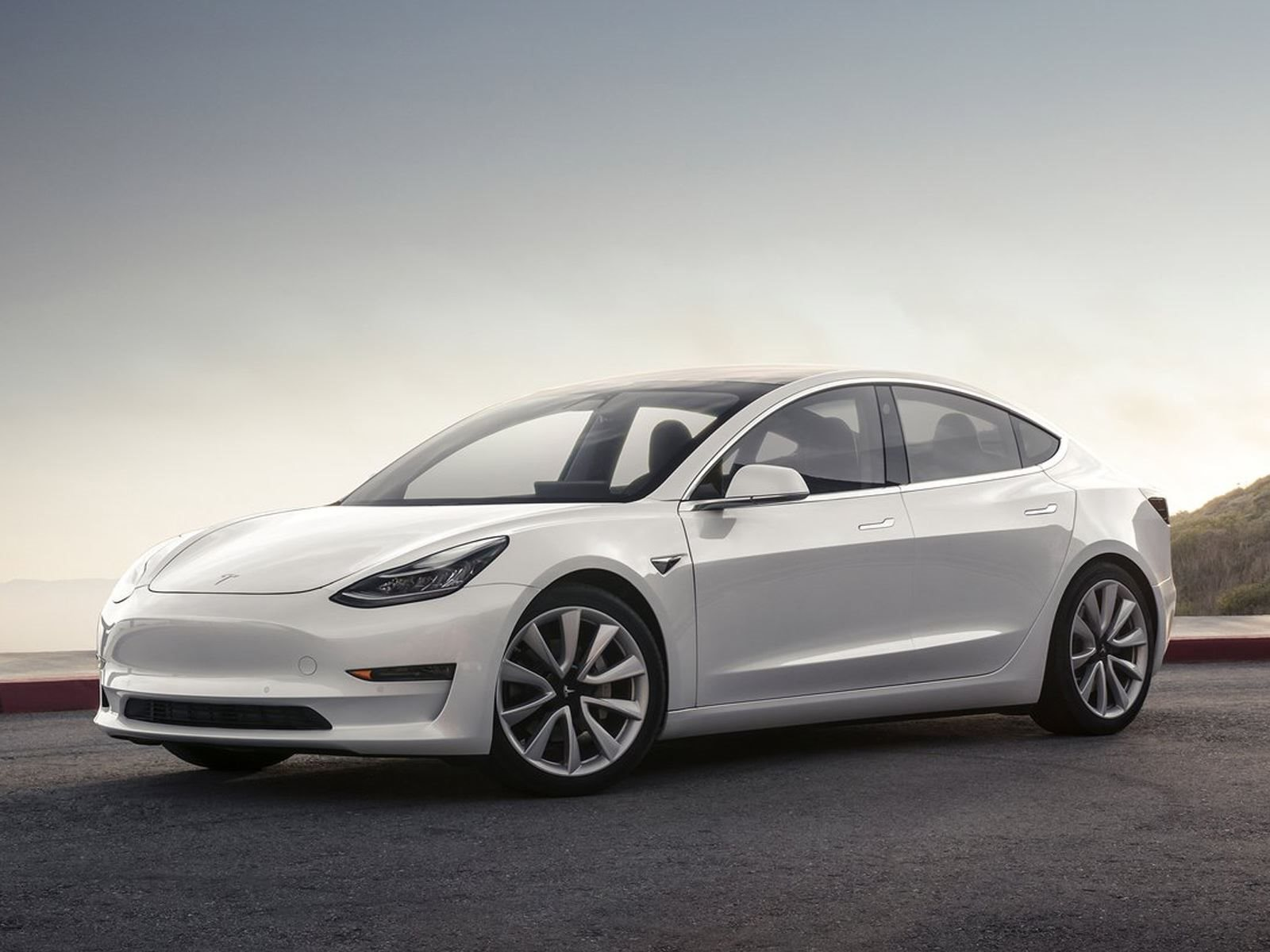 car-go-electric - Tesla-Ladekabel