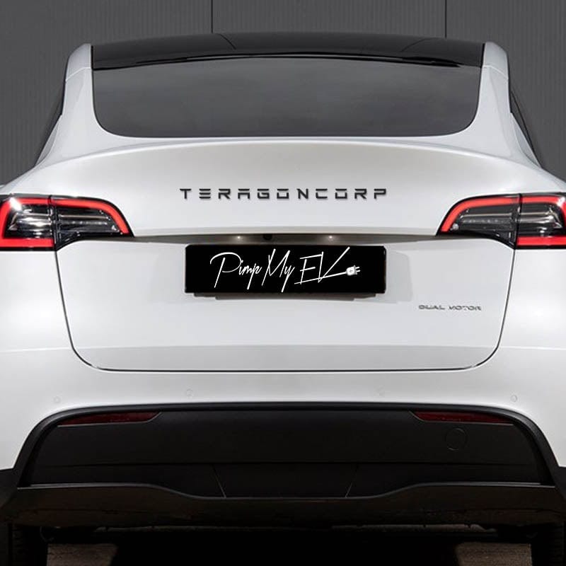 Tesla Model S, 3, X and Y Welcome Lights Set of 2