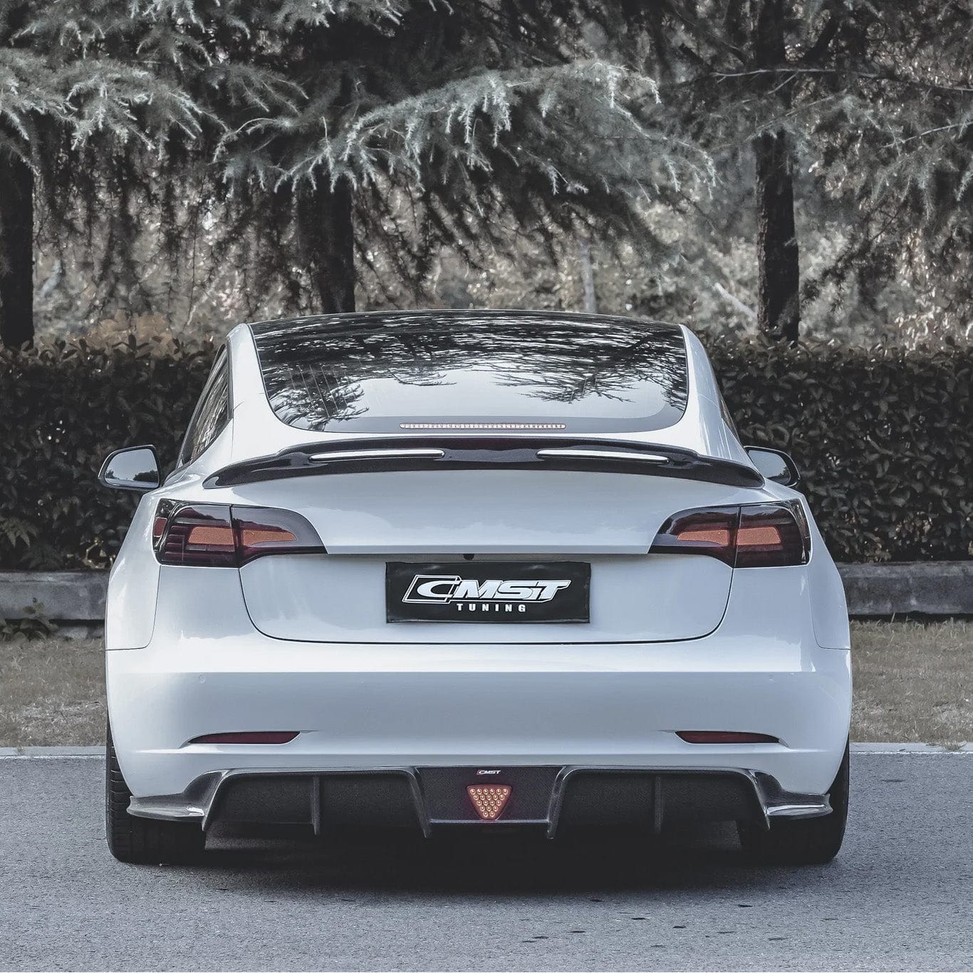 V-Style Spoiler Real Molded Carbon Fiber For Tesla Model 3 2017-2023 