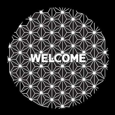 Lexus LS 2nd/3rd/4th/5th Gen Dynamic Dual Lens Premium Door Puddle Lights Multiple Designs 1995-2025