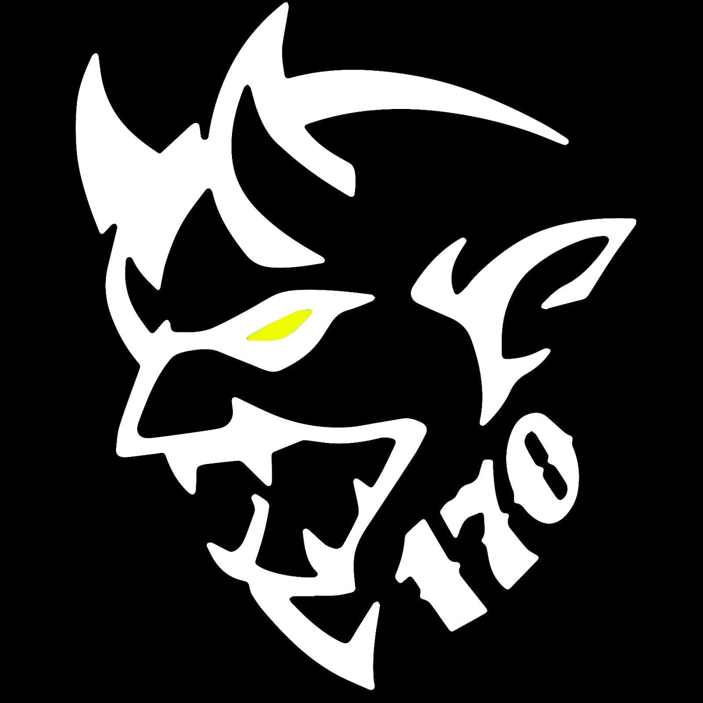 Dodge Charger 6th/7th/8th Gen Dynamic Dual Lens Premium Door Puddle Lights Multiple Designs 2006-2024