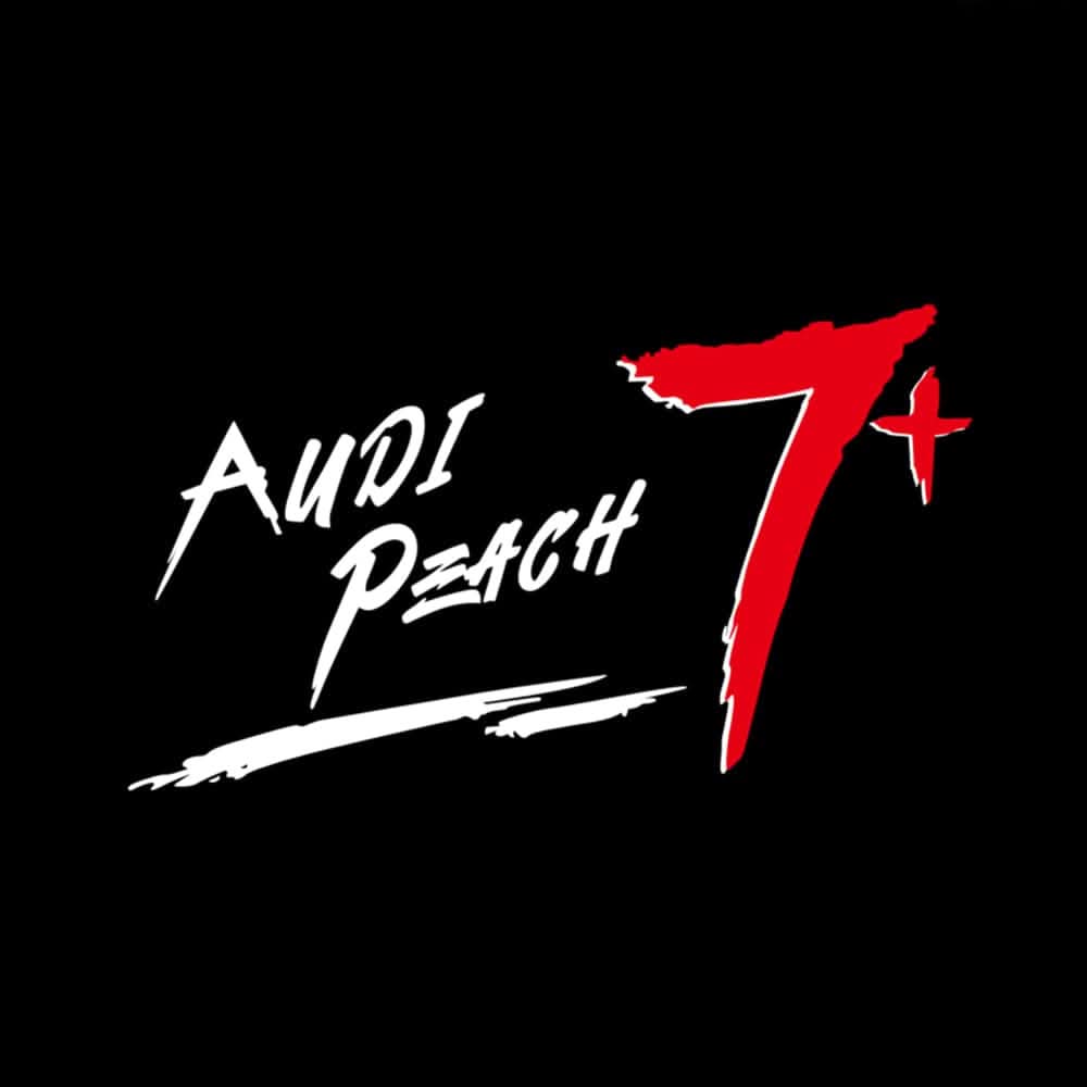 Audi S8 Dynamic Dual Lens Premium Door Puddle Lights Multiple Designs 2006-2025