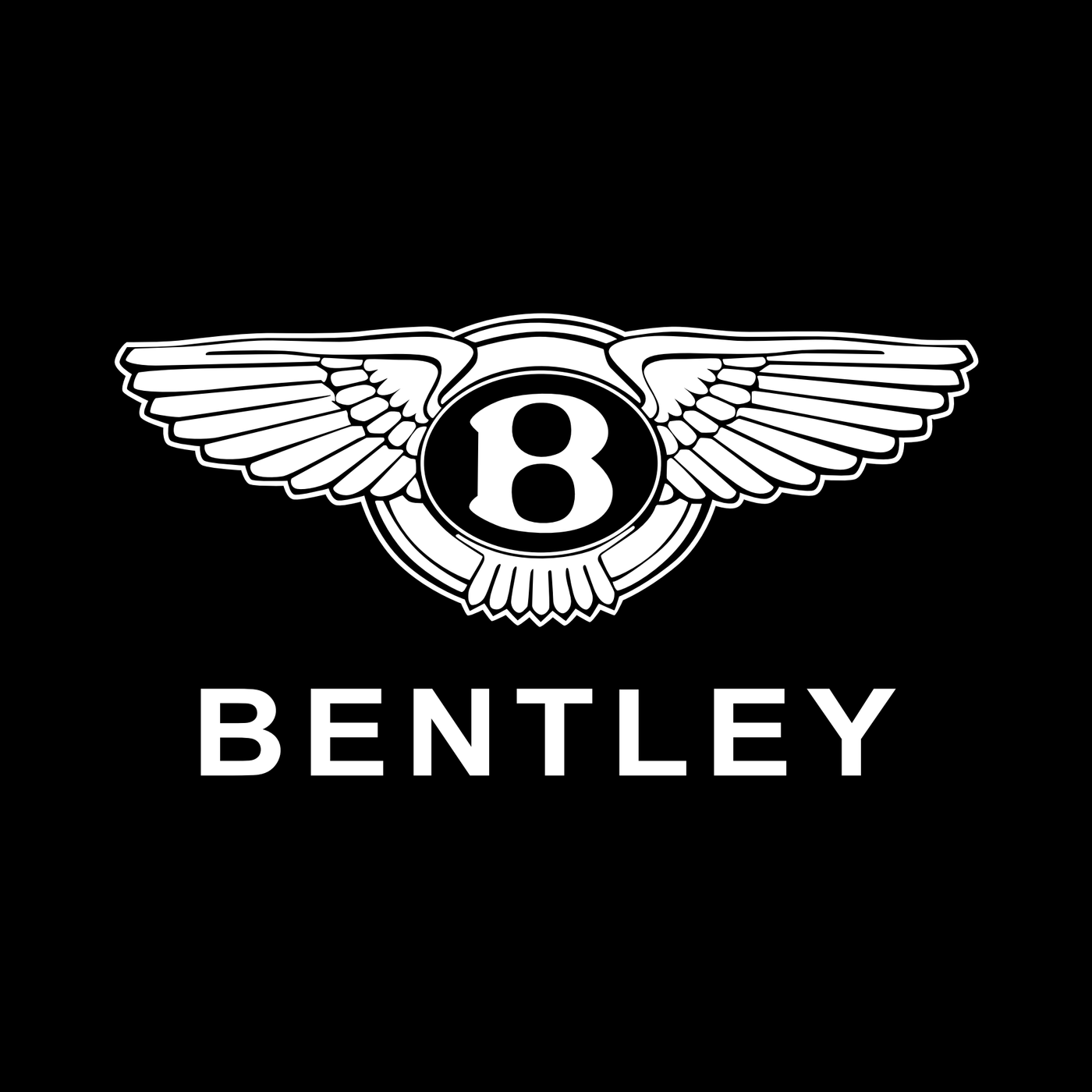 Bentley Flying Spur Dynamic Dual Lens Premium Door Puddle Lights Multiple Designs 2005-2025