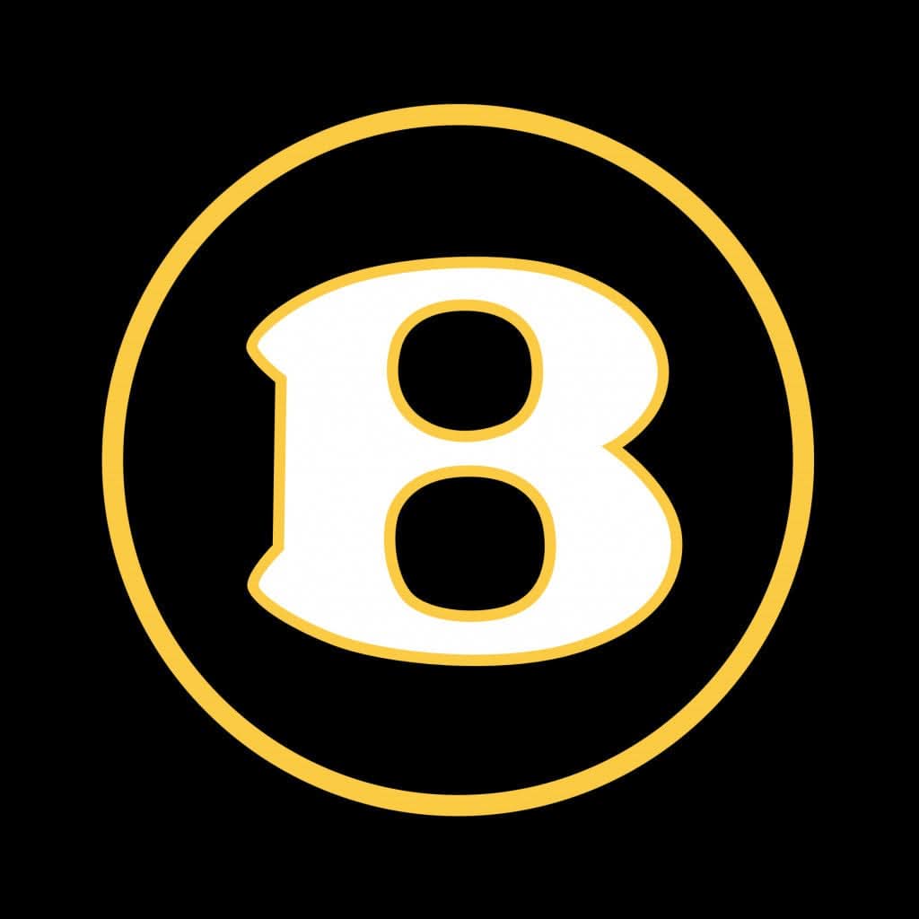 Bentley Flying Spur Dynamic Dual Lens Premium Door Puddle Lights Multiple Designs 2005-2025