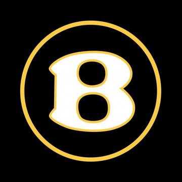 Bentley Flying Spur Dynamic Dual Lens Premium Door Puddle Lights Multiple Designs 2005-2025