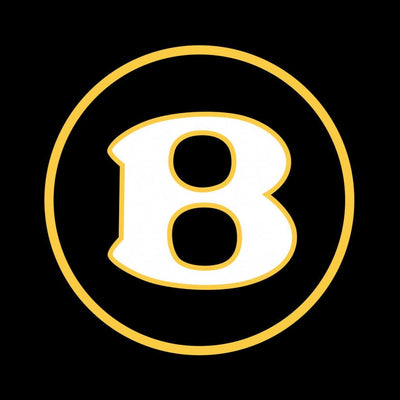 Bentley Flying Spur Dynamic Dual Lens Premium Door Puddle Lights Multiple Designs 2005-2025