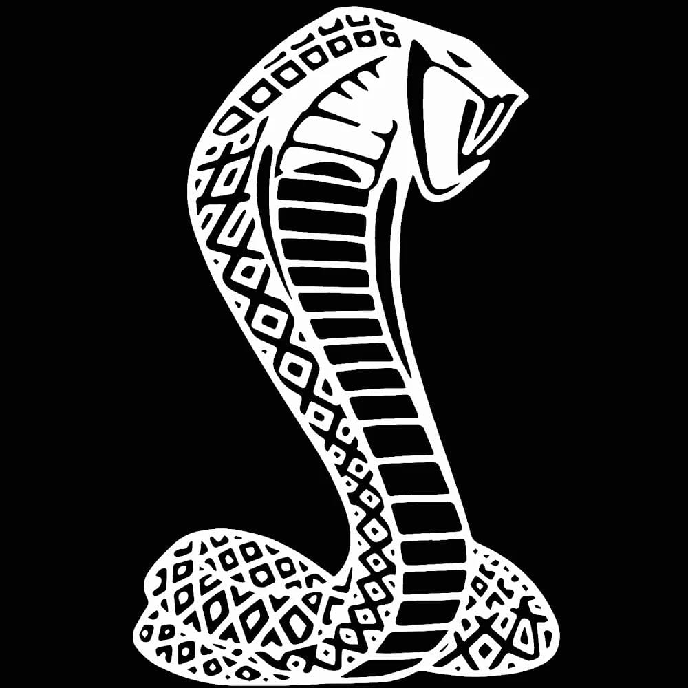 LED Side Mirror MACH1 Projector Puddle Lights Pair for Ford Mustang 2015-2025