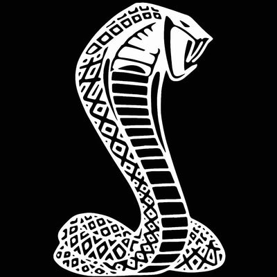 LED Side Mirror MACH1 Projector Puddle Lights Pair for Ford Mustang 2015-2025