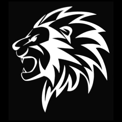 Custom LED Courtesy Door Projector Puddle Lights For Tesla Model Y Juniper 2025–2026