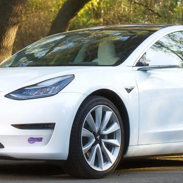 Quick Bandit License Plate Mount for Tesla Model 3 2017-2023 - PimpMyEV