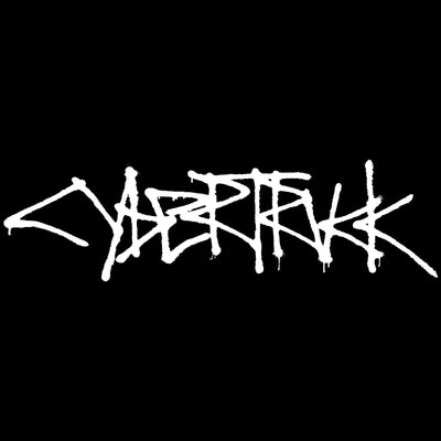 LED Door Projector Puddle Lights Pair for Tesla Cybertruck 2024-2025