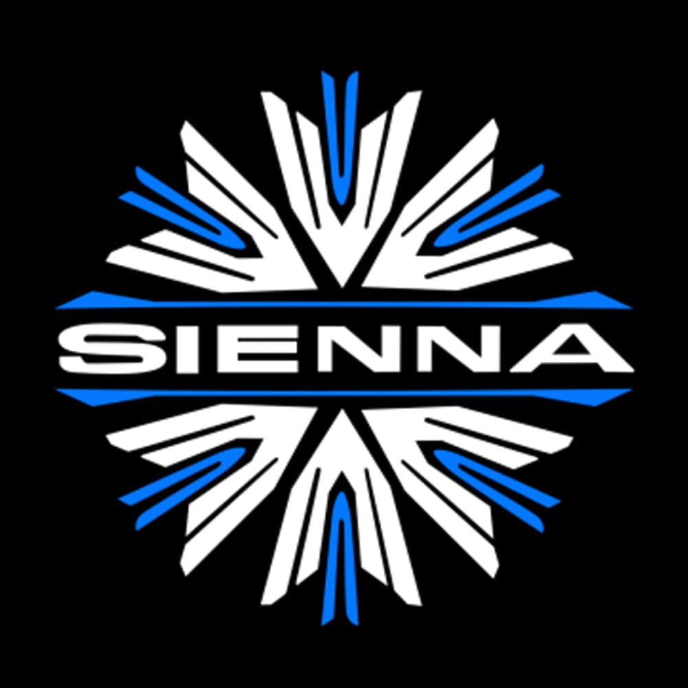 Toyota Sienna 3rd/4th Gen Dynamic Dual Lens Premium Door Puddle Lights Multiple Designs 2011-2025