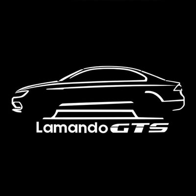 Volkswagen Lamando Dynamic Dual Lens Premium Door Puddle Lights Multiple Designs 2014-2025