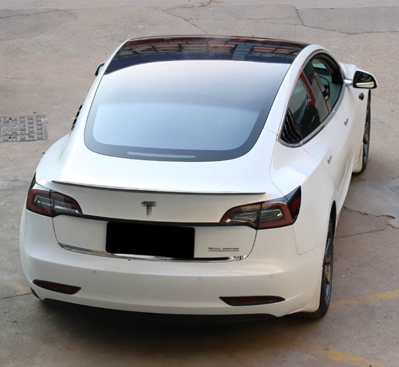Carbon Fiber Effect Wing Spoiler Flat Back for Model 3 (Gloss) - PimpMyEV