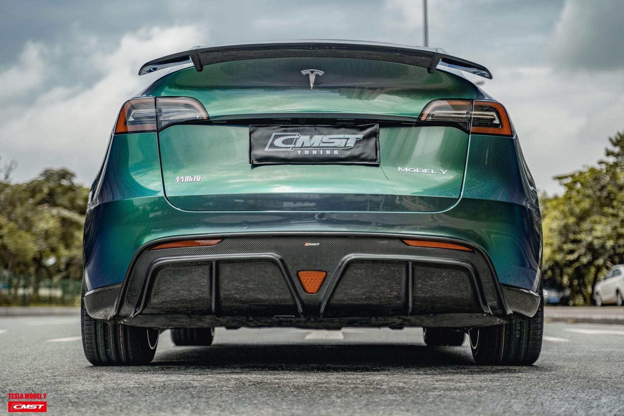 Upgraded my Tesla Model Y 2023 with Carbon Fiber Rear Spoiler from
